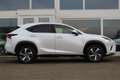Lexus NX 300h AWD Hybrid President Line I Parel wit I Mark Lev. Weiß - thumbnail 14