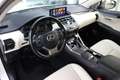 Lexus NX 300h AWD Hybrid President Line I Parel wit I Mark Lev. Weiß - thumbnail 7