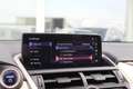 Lexus NX 300h AWD Hybrid President Line I Parel wit I Mark Lev. Weiß - thumbnail 12
