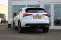 Lexus NX 300h AWD Hybrid President Line I Parel wit I Mark Lev. Weiß - thumbnail 6