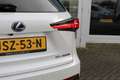 Lexus NX 300h AWD Hybrid President Line I Parel wit I Mark Lev. Weiß - thumbnail 16