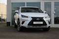 Lexus NX 300h AWD Hybrid President Line I Parel wit I Mark Lev. Weiß - thumbnail 5