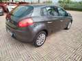 Fiat Bravo Bravo 1.6 MJT 105 CV DPF Easy Bronzo - thumbnail 8