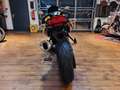 BMW F 800 ST op"  100 Jahre (250/4,99%) Amarillo - thumbnail 11