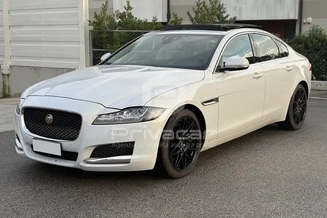 Jaguar XF XF 3.0 D V6 300 CV aut. Prestige