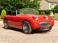 Austin-Healey Sprite MKI Frogeye Rot - thumbnail 6