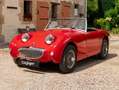 Austin-Healey Sprite MKI Frogeye Rot - thumbnail 1