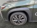Lexus UX 300e UX 300h F Sport Design Sofort verfügbar Vert - thumbnail 15
