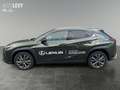 Lexus UX 300e UX 300h F Sport Design Sofort verfügbar Vert - thumbnail 3