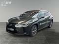 Lexus UX 300e UX 300h F Sport Design Sofort verfügbar Vert - thumbnail 2