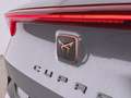 CUPRA Formentor 2.0 TDI 4Drive Aut LED AHK SKY RADAR Grau - thumbnail 10