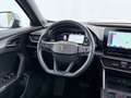 CUPRA Formentor 2.0 TDI 4Drive Aut LED AHK SKY RADAR Grau - thumbnail 14