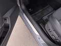 CUPRA Formentor 2.0 TDI 4Drive Aut LED AHK SKY RADAR Grau - thumbnail 25