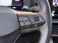 CUPRA Formentor 2.0 TDI 4Drive Aut LED AHK SKY RADAR Grau - thumbnail 21