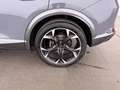 CUPRA Formentor 2.0 TDI 4Drive Aut LED AHK SKY RADAR Grau - thumbnail 28