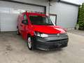 Volkswagen Caddy CargoMaxi 2,0TDI LED/AHV/KLIMA/DACHTRÄGERSYSTEM Rot - thumbnail 14