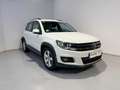 Volkswagen Tiguan 2.0TDI BMT Cross 4x2 110 Bianco - thumbnail 2