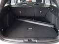 Ford Focus Turnier 1.0 EcoBoost Hybrid ST-LINE *WinterPk* Weiß - thumbnail 7