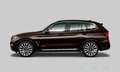 BMW X3 xDrive 30d (G01) Luxury Pano HUD AHK 360 20" Braun - thumbnail 2