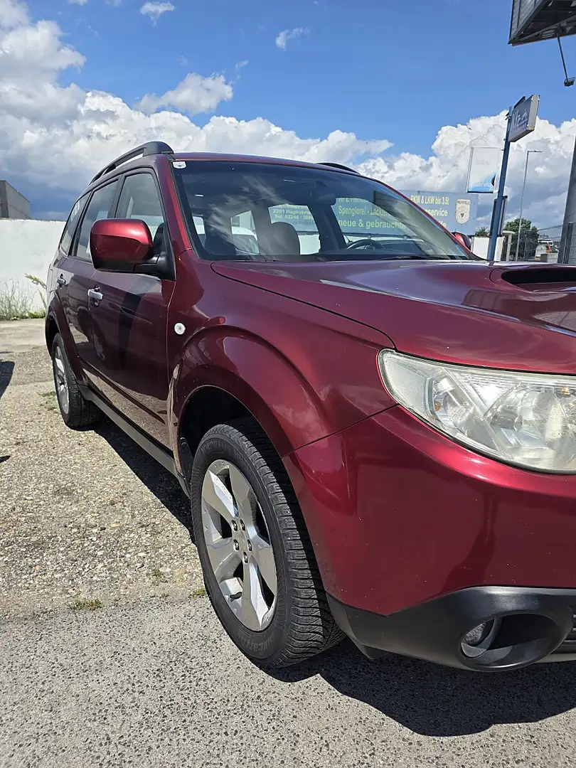 Subaru Forester 2,0D X Classic Rot - 2