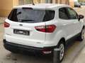 Ford EcoSport 1.0 EcoBoost Trend 125 Bianco - thumbnail 4