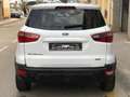 Ford EcoSport 1.0 EcoBoost Trend 125 Bianco - thumbnail 5