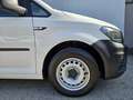 Volkswagen Caddy Maxi Kasten 2,0 TDI PDC Weiß - thumbnail 3