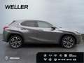 Lexus UX 250h Style Edition *Bi-LED*ACC*CAM*SHZ*CarPlay* Grau - thumbnail 10