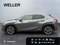 Lexus UX 250h Style Edition *Bi-LED*ACC*CAM*SHZ*CarPlay* Grau - thumbnail 5