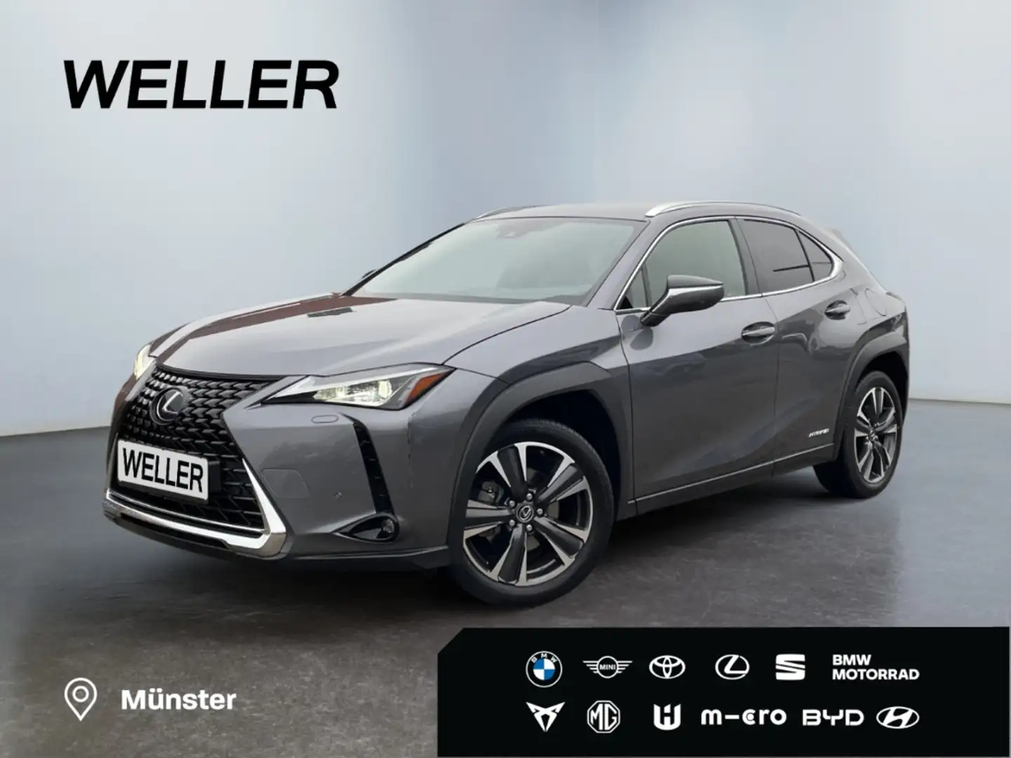 Lexus UX 250h Style Edition *Bi-LED*ACC*CAM*SHZ*CarPlay* Grau - 1