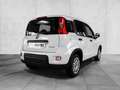 Fiat Panda Mild Hybrid City Paket  Gelato Weiß Weiß - thumbnail 2