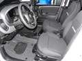 Fiat Panda Mild Hybrid City Paket  Gelato Weiß Weiß - thumbnail 9