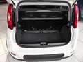 Fiat Panda Mild Hybrid City Paket  Gelato Weiß Weiß - thumbnail 12
