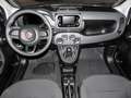 Fiat Panda Mild Hybrid City Paket  Gelato Weiß Weiß - thumbnail 5