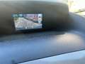 Ford Transit 350 L3 Trend 9-sitze. Weiß - thumbnail 6
