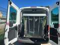 Ford Transit 350 L3 Trend 9-sitze. Weiß - thumbnail 2