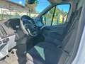 Ford Transit 350 L3 Trend 9-sitze. Weiß - thumbnail 18