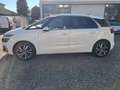 Citroen C4 SpaceTourer C4 Spacetourer 1.5 bluehdi Feel s Bianco - thumbnail 2