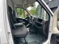 Opel Movano C KaL2H1 3,5t Edition*CarPlay*KAMERA*GARA Білий - thumbnail 9