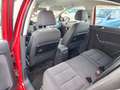 Volkswagen Golf Plus Comfortline 1.4 Tsi Kette Neu Tüv 12/26 Rot - thumbnail 8