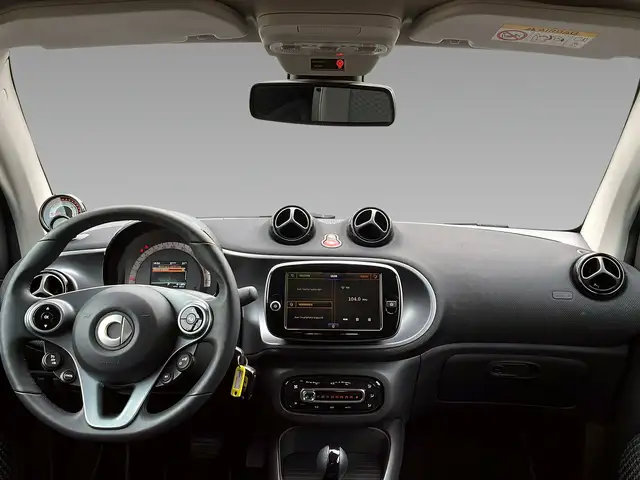 Smart Fortwo view 12