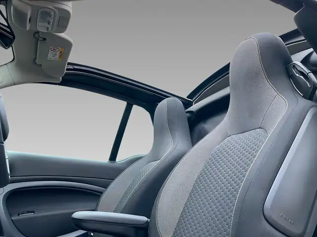 Smart Fortwo view 14
