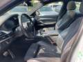 BMW X6 M50d auto XDRIVE ADAS TETTO CERCHI 20 RETROCAMERA Bianco - thumbnail 9