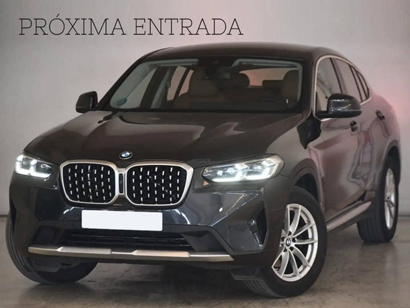 BMW X4 xDrive 20dA xLine Gris - 1