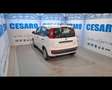 Fiat Panda 1.0 FireFly Hybrid Icon Wit - thumbnail 4