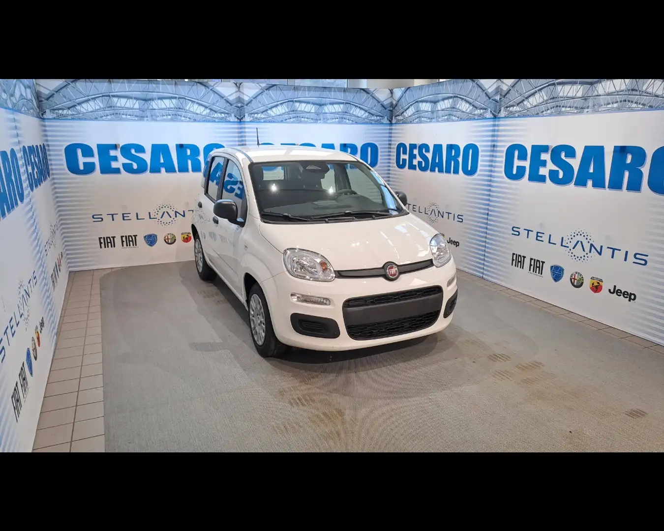 Fiat Panda 1.0 FireFly Hybrid Icon Wit - 1