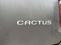 Citroen C4 Cactus 1.2 PureTech Feel Clima|Cruise|Trekhaak|Dealer Ond Gris - thumbnail 34