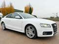 Audi A5 Coupe 2.7 TDI V6*3XS-Line*PANO*Automatik*TÜV* Blanc - thumbnail 9