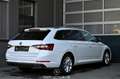 Skoda Superb 2.0 TSI Style 4x4 Green tec DSG Pickerl NEU Weiß - thumbnail 2