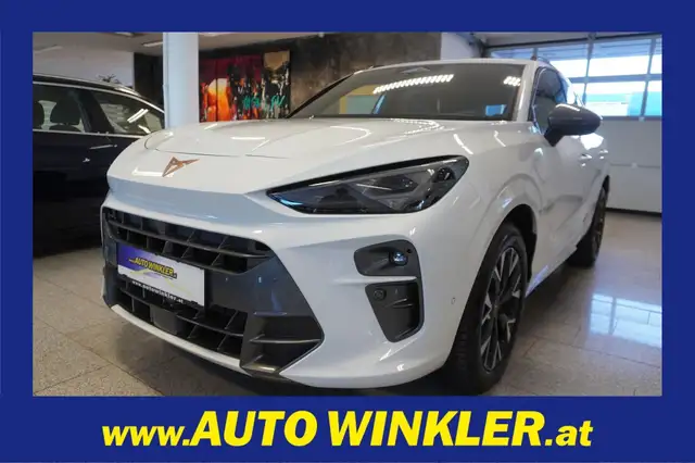 CUPRA Terramar eTSI Virtual/Kamera/Navi/LED/Sport